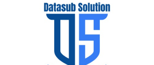 DatasubSolution Logo